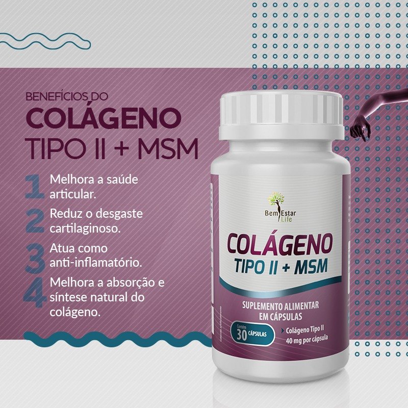 COLAGENO TIPO II + MSM - Bem Estar Life Mato Grosso - Loja Virtual