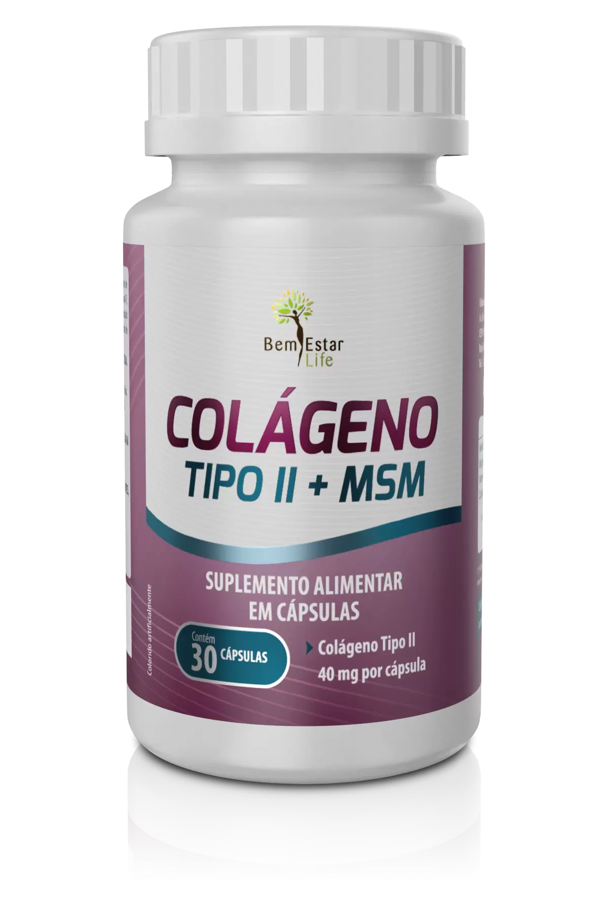 COLAGENO  TIPO II + MSM